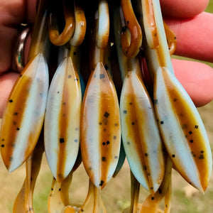Molting Craw